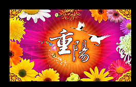 重陽節(jié)圖片