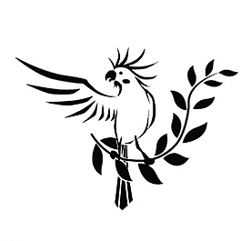鸚鵡圖片