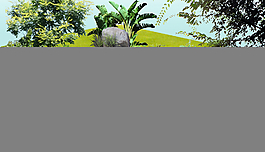 庭院假山景觀設(shè)計(jì)圖片