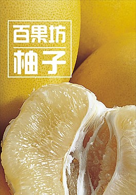 水果海報(bào)柚子