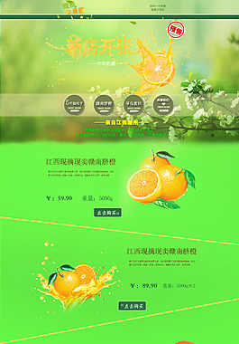 贛南臍橙首頁設計