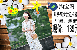 淘寶網(wǎng)貓頭鷹連衣裙海報(bào)圖片