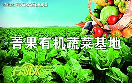 有機蔬菜