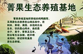 生態(tài)養(yǎng)殖基地
