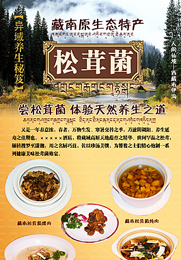 松茸菌推廣介紹X展架