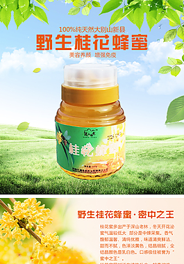 野生桂花蜂蜜原創(chuàng)psd淘寶詳情