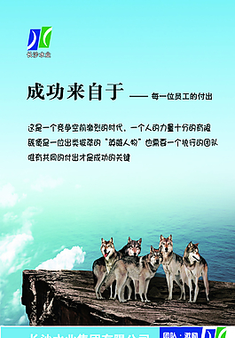 成功來自于團隊激勵執行力領導力圖片