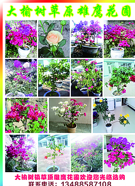 花圃圖片