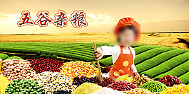 五谷雜糧小麥綠草地