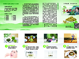 鐵皮石斛四折頁圖片