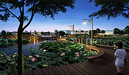 公園荷花景觀設(shè)計圖片