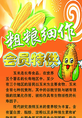 玉米系列海报