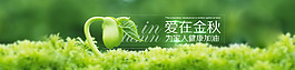 生命發芽綠色