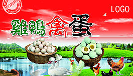 鸡鸭禽蛋图片