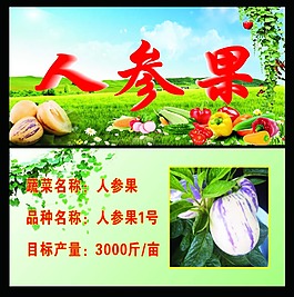人参果标牌