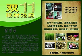 蟲(chóng)草參/地參宣傳單