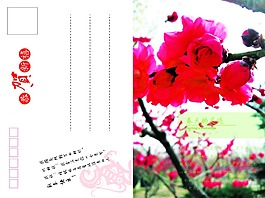 明信片設(shè)計