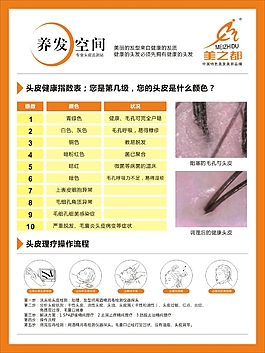 頭皮項目