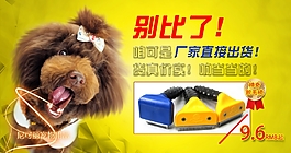 寵物海報圖片