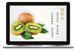 獼猴桃