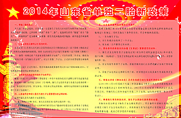 山东单独二胎新政策图片