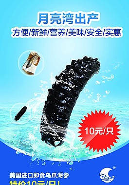 即食海参海报