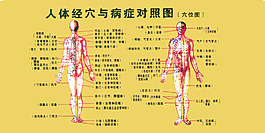 人體經學病癥對照圖