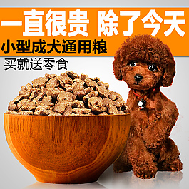 狗糧直通車(chē)