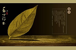 葉子自然主義畫冊封面設(shè)計(jì)