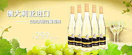 进口白葡萄酒海报PSD
