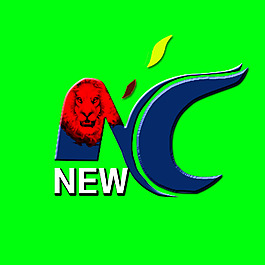 新能王者LOGO圖標(biāo)