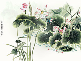 工筆畫荷花圖免費下載