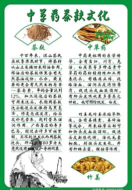 綠邊中草藥茶麩文化君絲佳促銷海報