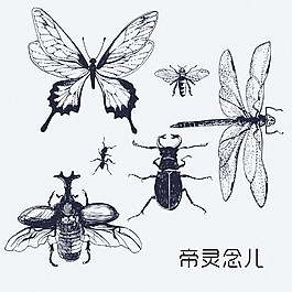 昆蟲矢量