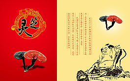 保健品醫(yī)療廣告
