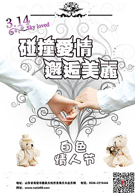 白色情人節(jié)圖片