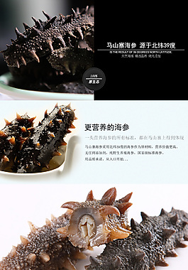 即食海参宝贝描述