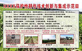 保護(hù)性耕作技術(shù)創(chuàng)新與集成示范田