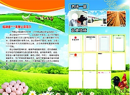 雞蛋畫冊(cè)內(nèi)頁