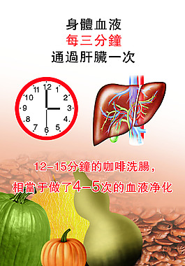 肝臟海報