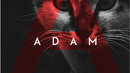 非襯線字體利落干凈adam英文字體