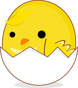 小雞