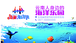 鯊魚