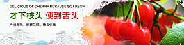 櫻桃banner