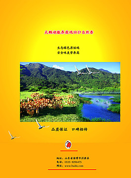 養(yǎng)雞單頁(yè)宣傳圖片