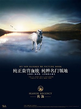 飛馬踏海地產(chǎn)廣告