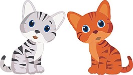 猫