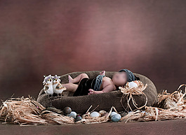 蛋生  摳圖素材