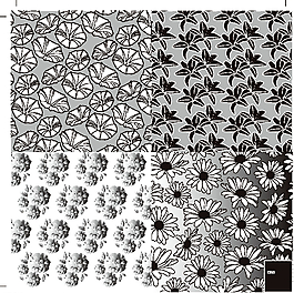 黑白花紋圖片