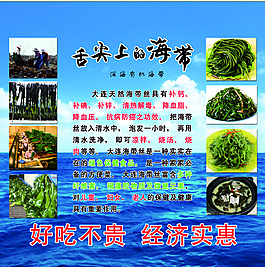 舌尖上的海帶